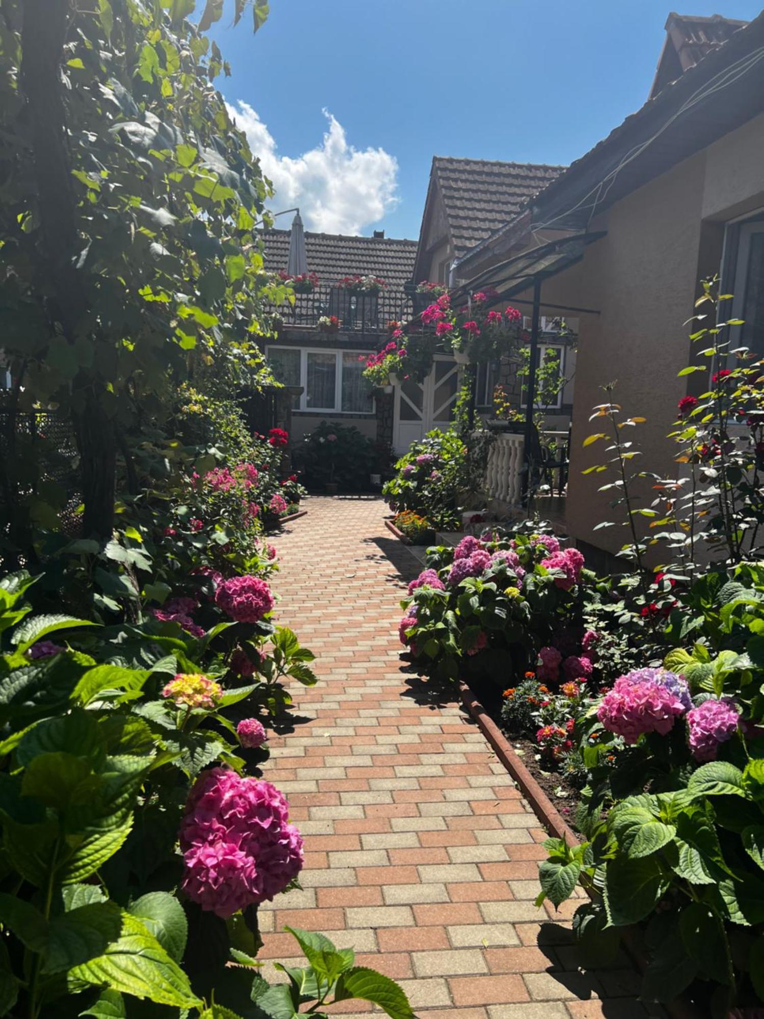 Casa Lidia Otel Rîu de Mori Dış mekan fotoğraf