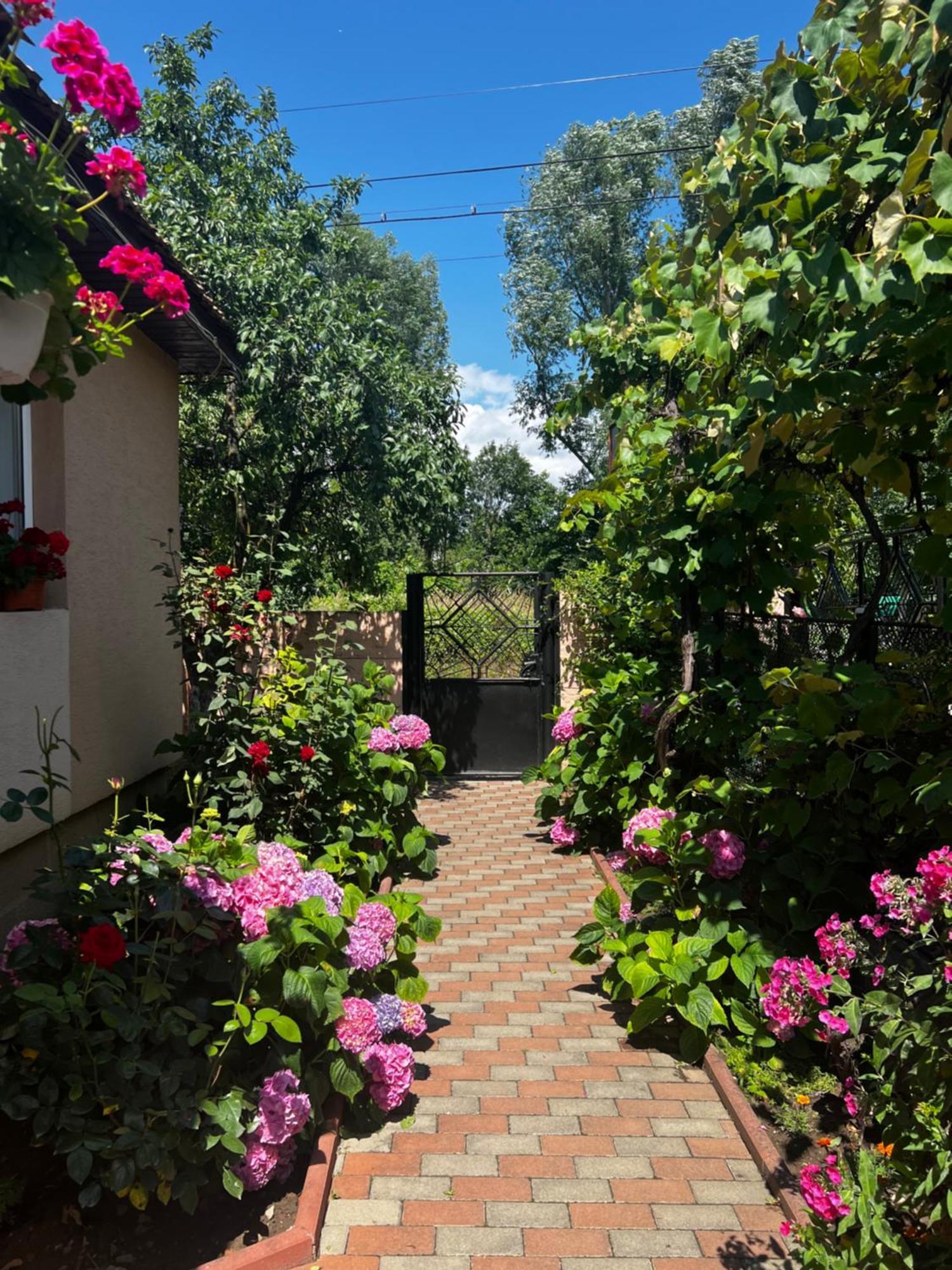 Casa Lidia Otel Rîu de Mori Dış mekan fotoğraf